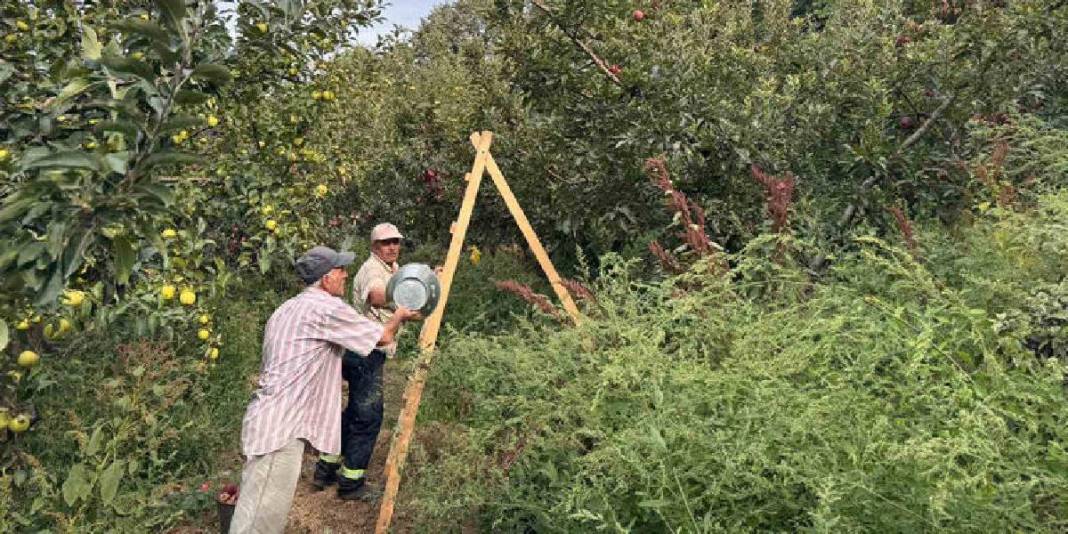 Bu ürün üreticisini güldürüyor, herkes görüyor! Kuraklık onları etkilemiyor verim coşuyor: Fiyatı bu yıl yükseliyor 3
